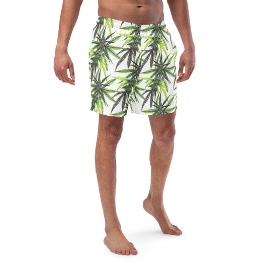 Men's swim