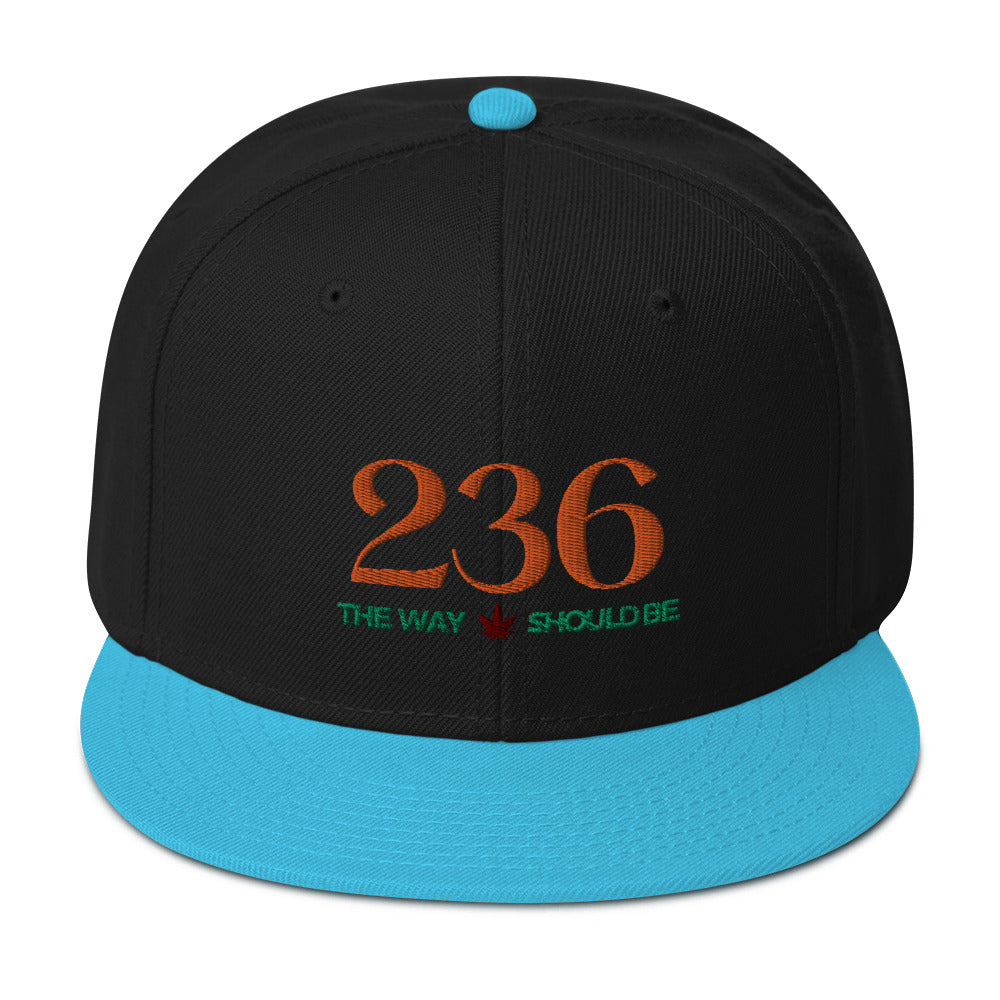 Coastal Maine Inspired Snapback Hat