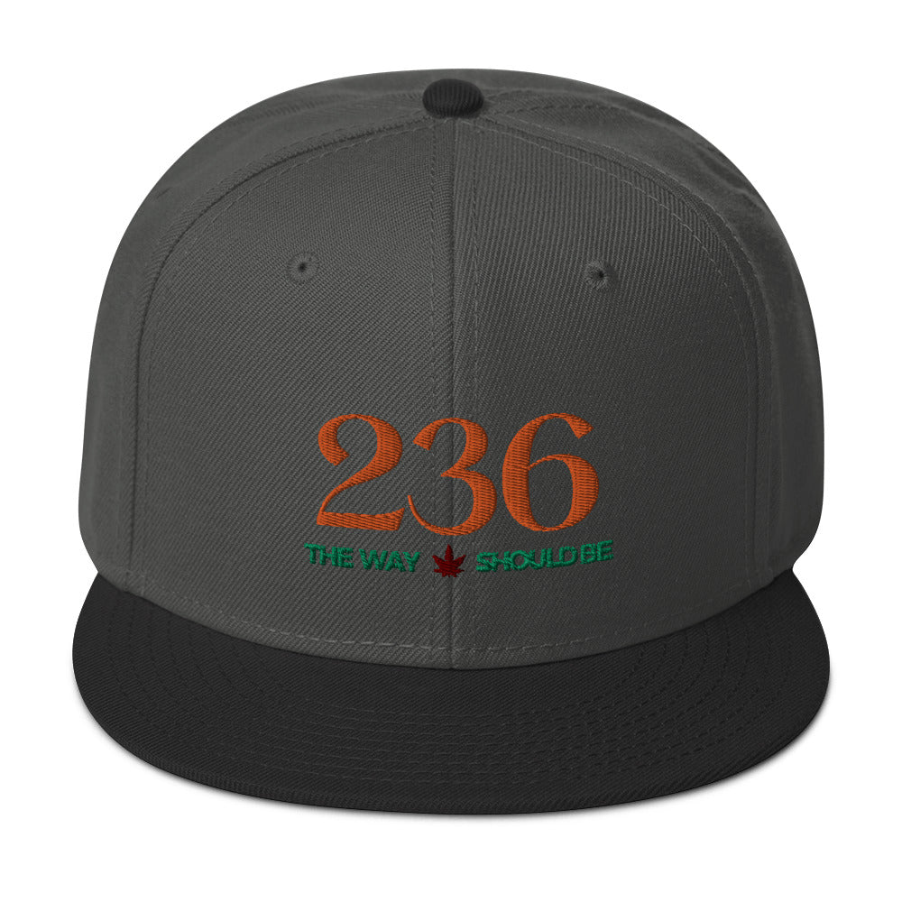 Coastal Maine Inspired Unisex Snapback Hat