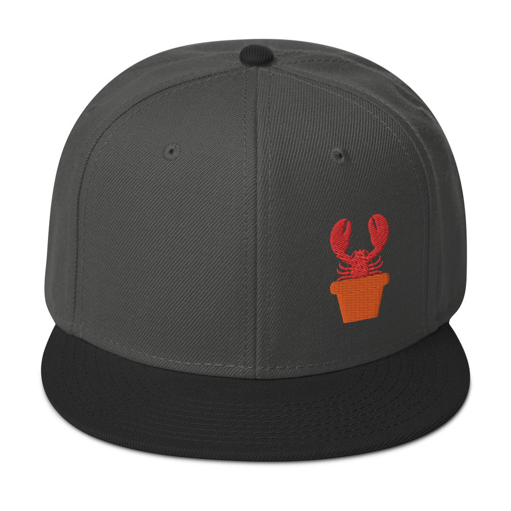 Snapback Hat
