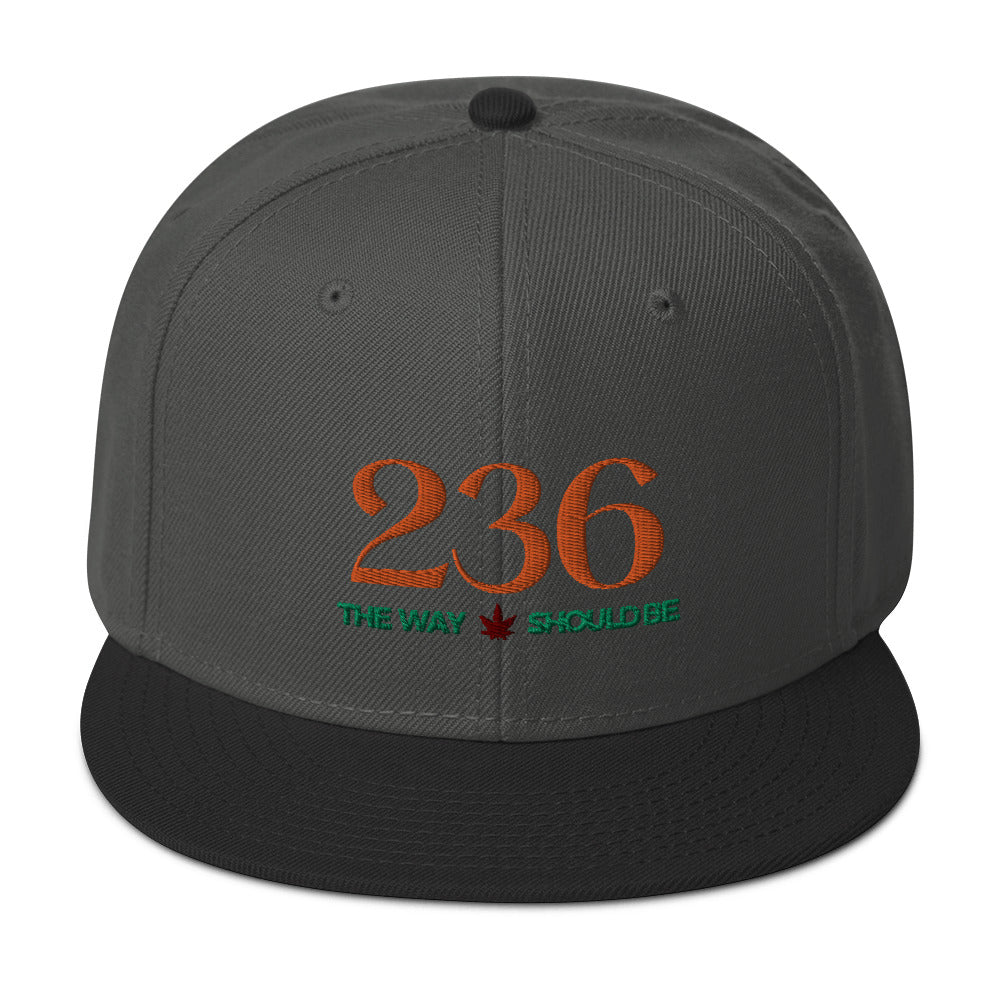 Coastal Maine Inspired Snapback Hat