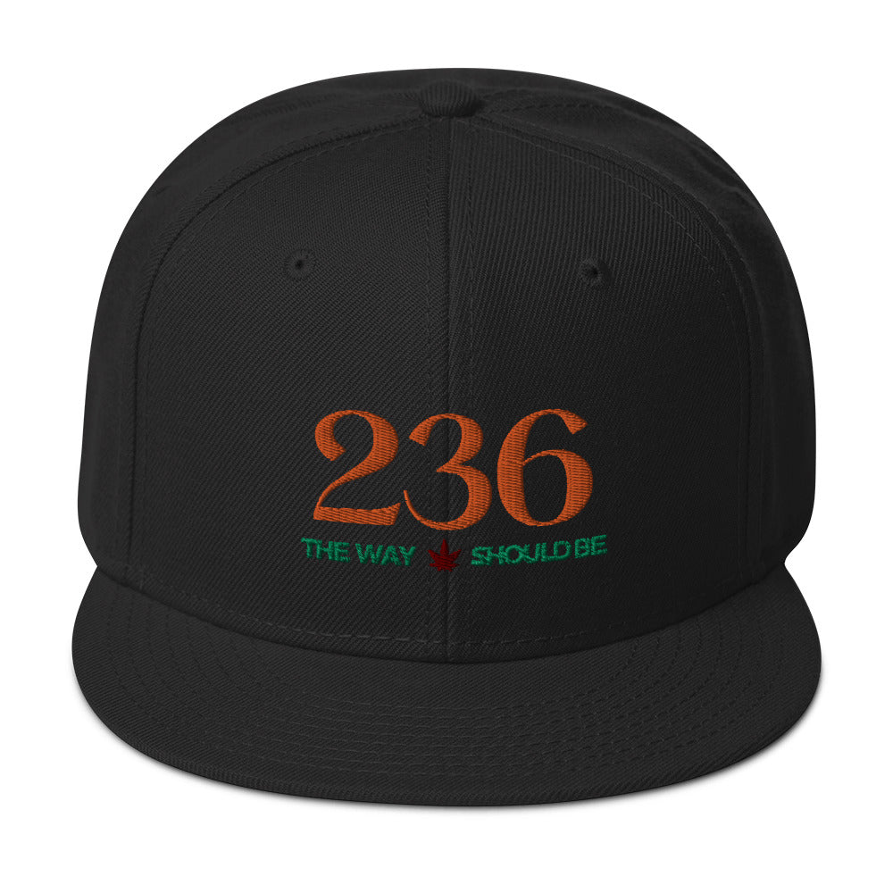 Coastal Maine Inspired Unisex Snapback Hat