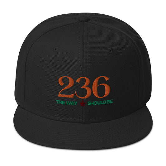 Coastal Maine Inspired Snapback Hat