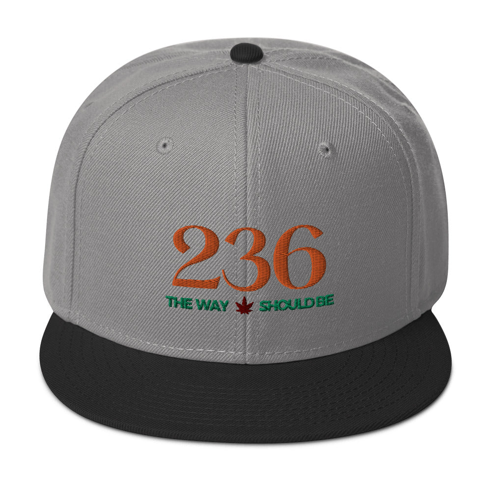 Coastal Maine Inspired Unisex Snapback Hat