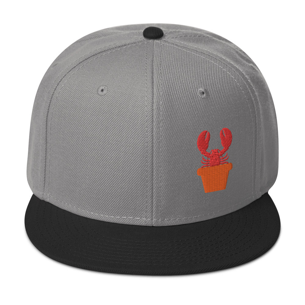 Snapback Hat
