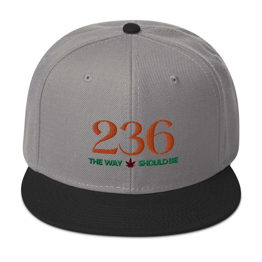 Coastal Maine Inspired Snapback Hat