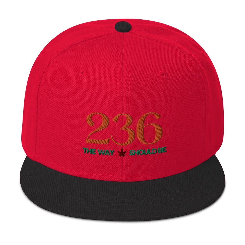 Coastal Maine Inspired Unisex Snapback Hat