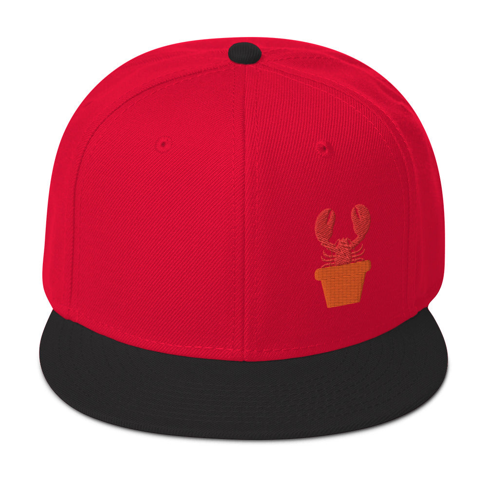 Coastal Maine Inspired Snapback Hat