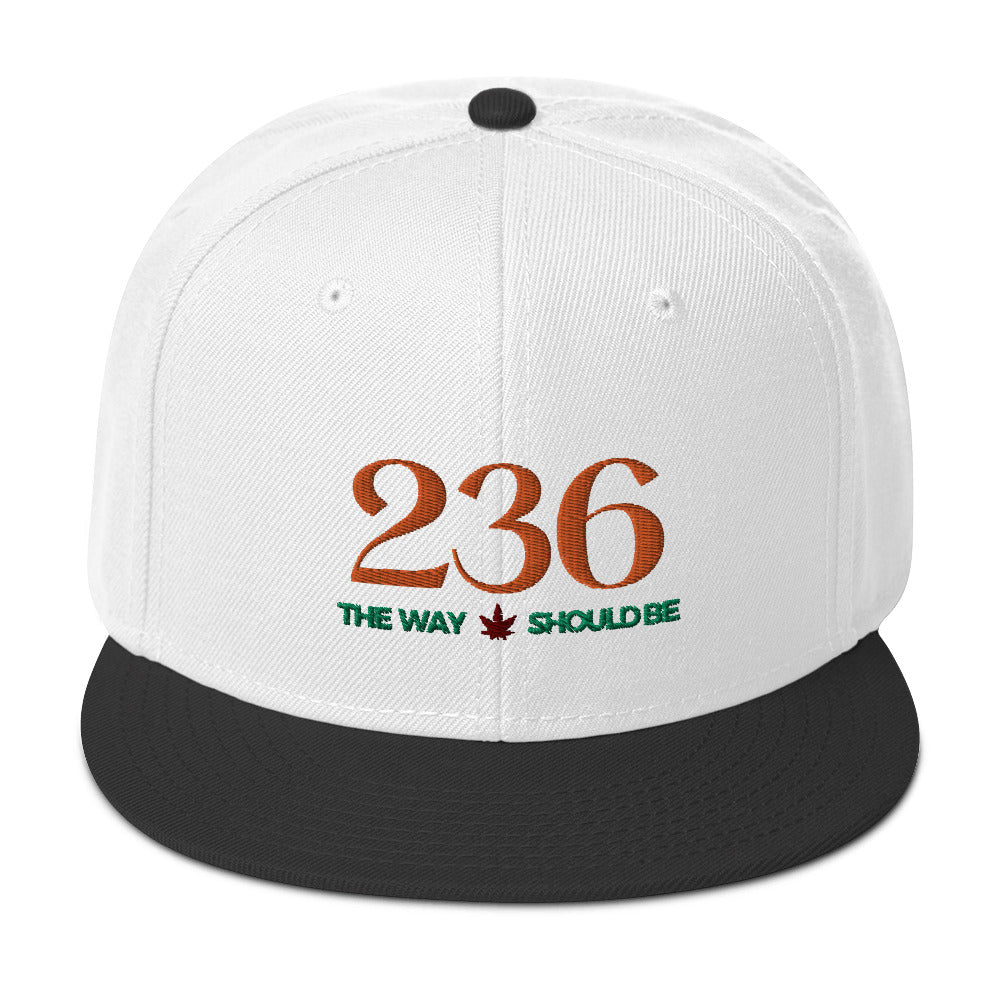 Coastal Maine Inspired Unisex Snapback Hat