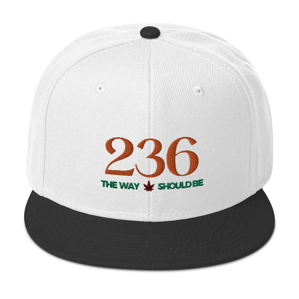 Coastal Maine Inspired Snapback Hat