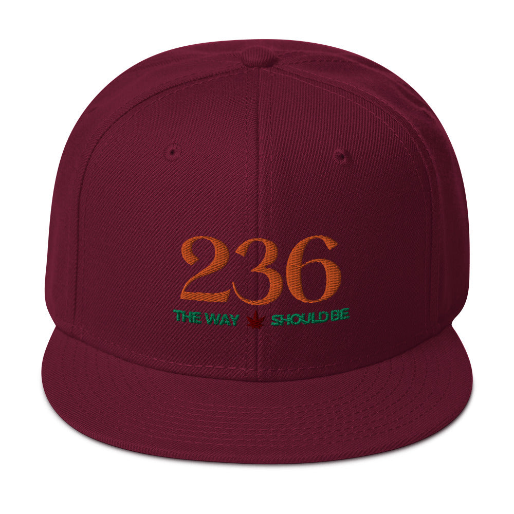 Coastal Maine Inspired Snapback Hat