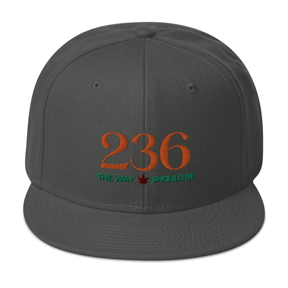 Coastal Maine Inspired Unisex Snapback Hat