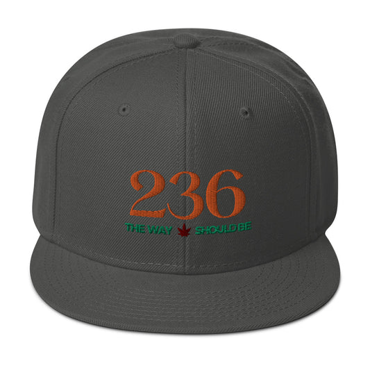 Coastal Maine Inspired Unisex Snapback Hat