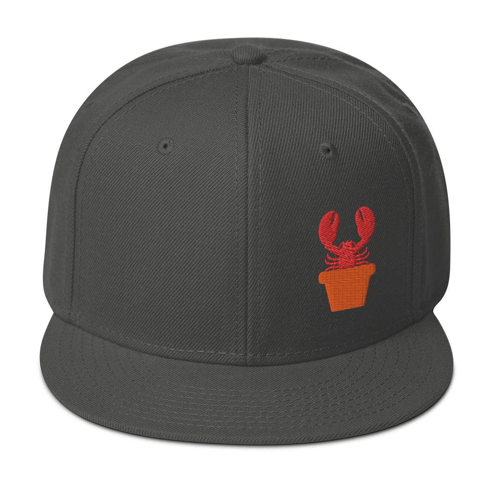 Snapback Hat
