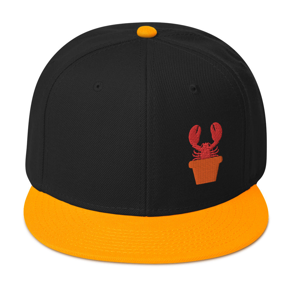 Coastal Maine Inspired Snapback Hat