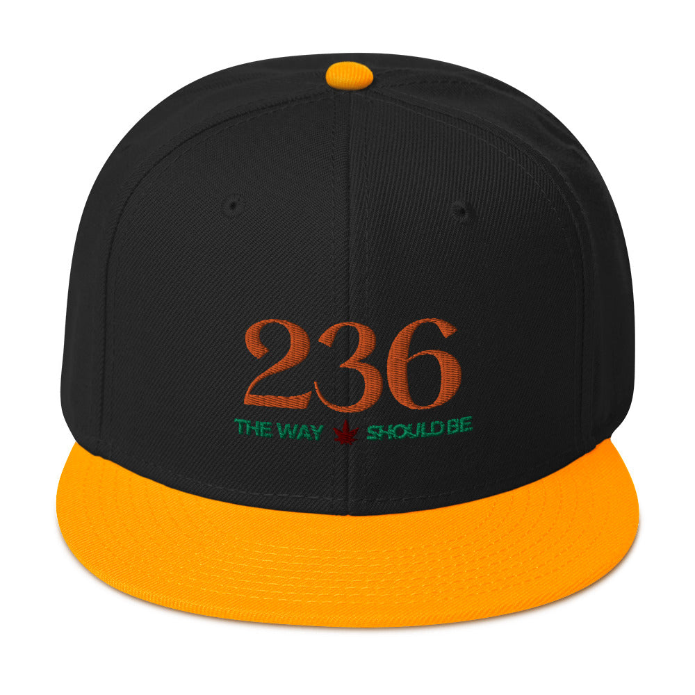 Coastal Maine Inspired Snapback Hat