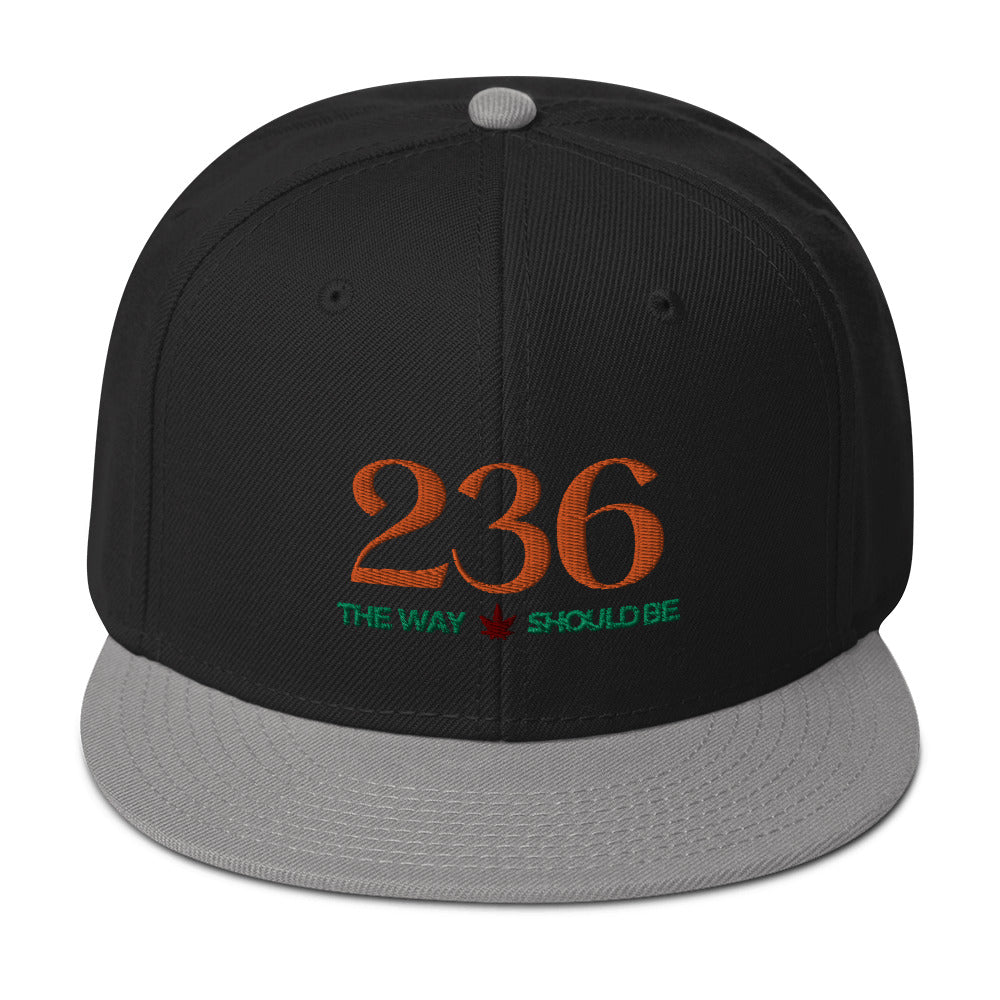 Coastal Maine Inspired Unisex Snapback Hat