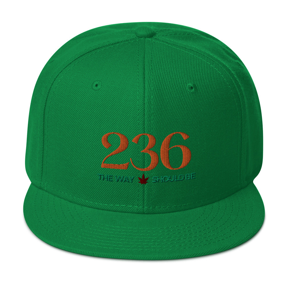 Coastal Maine Inspired Unisex Snapback Hat