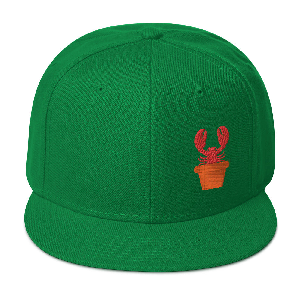 Snapback Hat