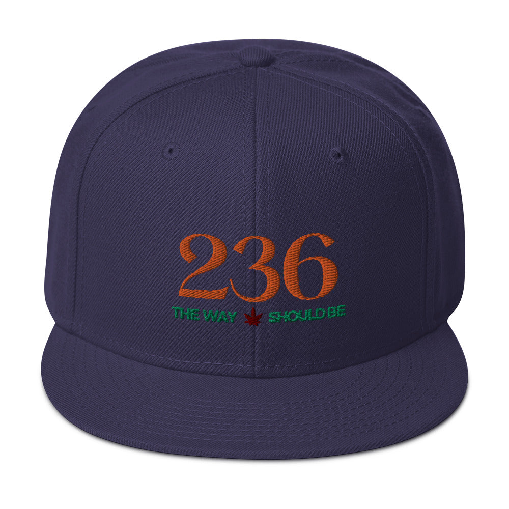 Coastal Maine Inspired Unisex Snapback Hat