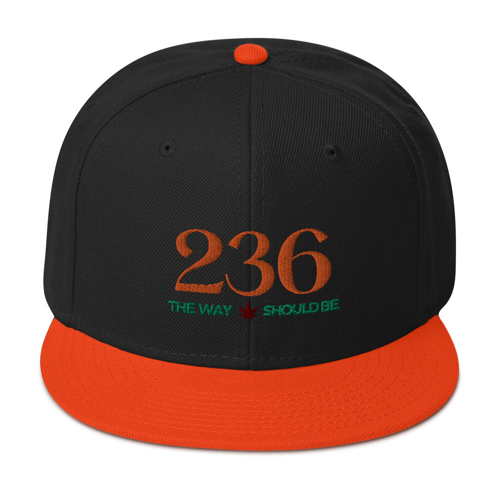 Coastal Maine Inspired Snapback Hat