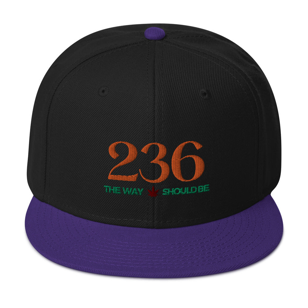 Coastal Maine Inspired Unisex Snapback Hat