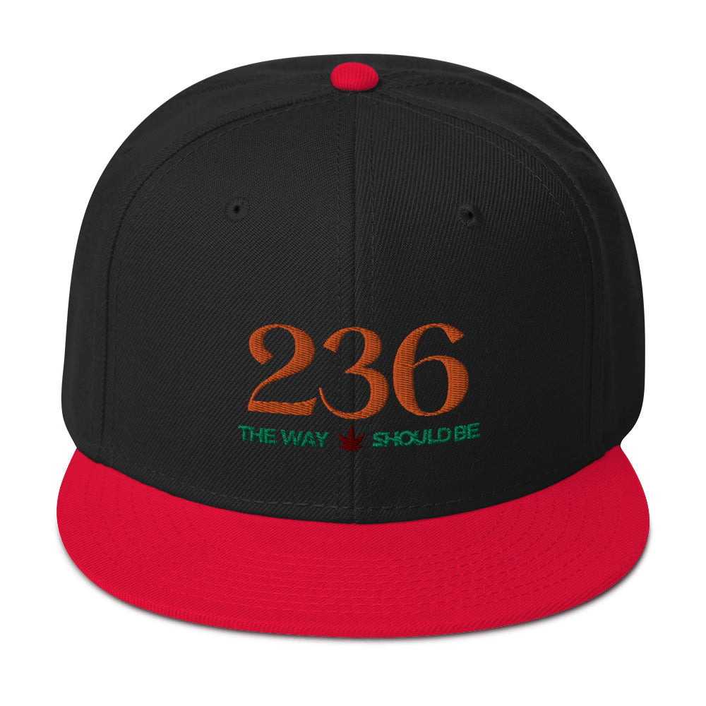 Coastal Maine Inspired Unisex Snapback Hat
