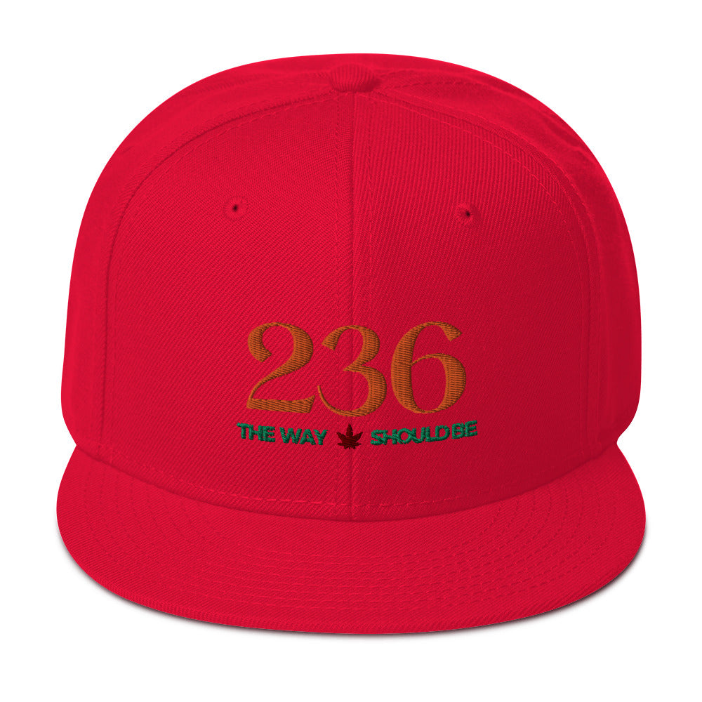 Coastal Maine Inspired Snapback Hat