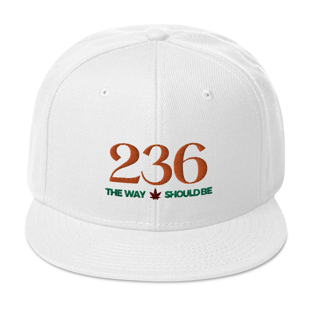 Coastal Maine Inspired Snapback Hat