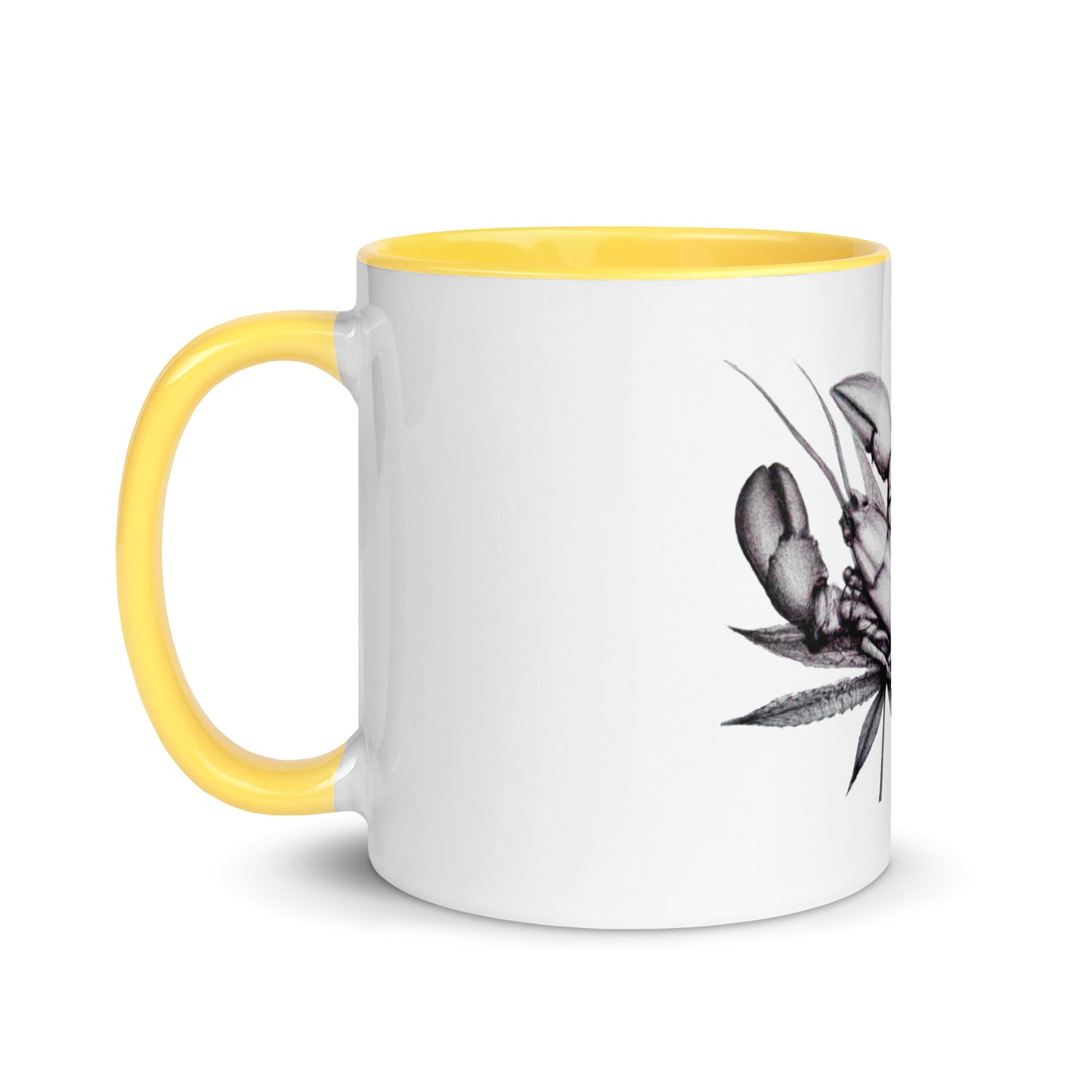 Mug with Color Inside